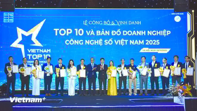 vnp-vinasa-3.jpg