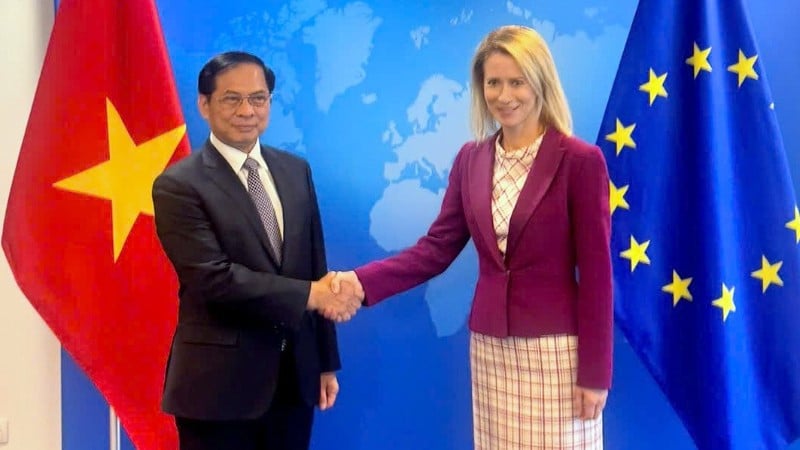 Phó Thủ tướng Chính phủ Bùi Thanh Sơn làm việc với Phó Chủ tịch Ủy ban châu Âu (EC) Kaja Kallas. (Ảnh: Bộ Ngoại giao)
