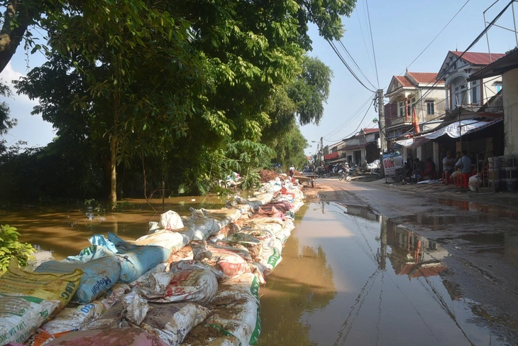 Thủ tướng - Ảnh 3.