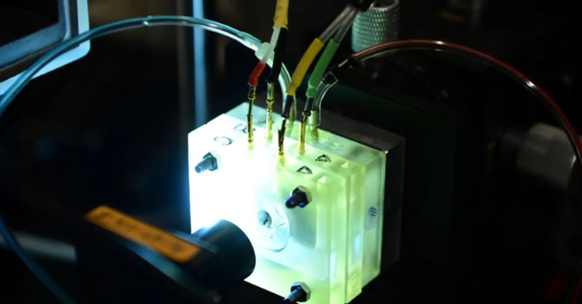 Lần đầu tiên ốc tai được nuôi sống ngoài cơ thể, mở hy vọng chữa mất thính lực