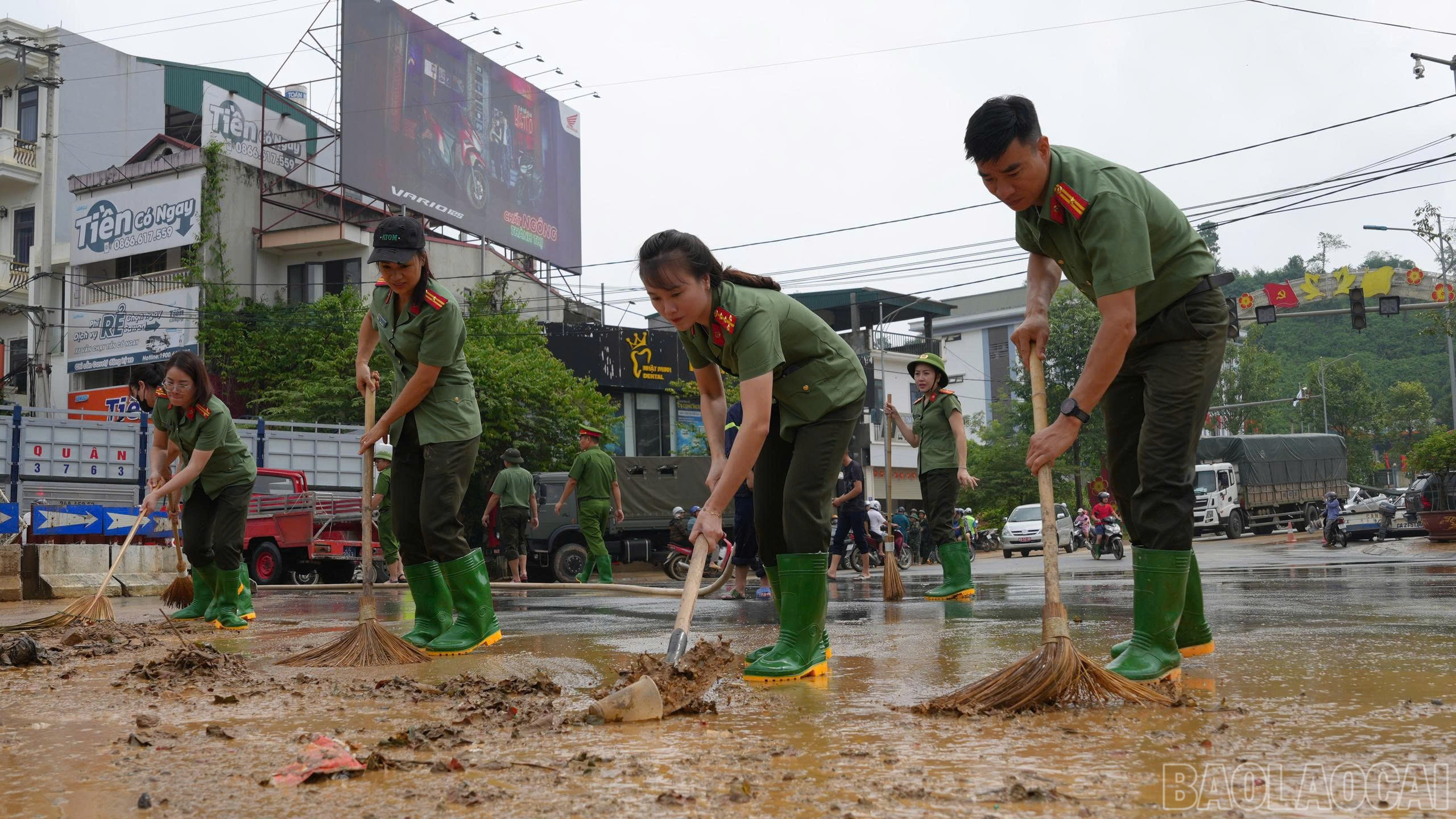 baolaocai-br_1-3.jpg