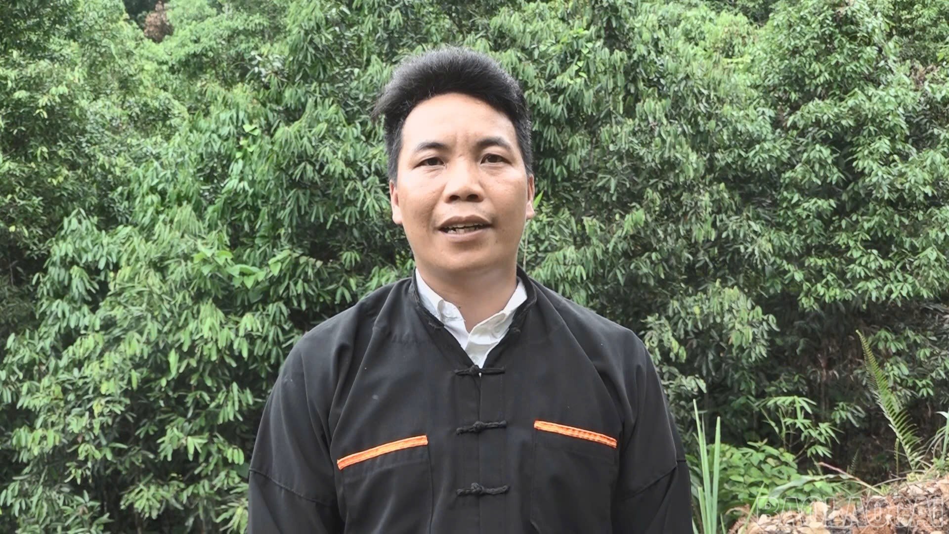 baolaocai-br_1-2-3593.jpg