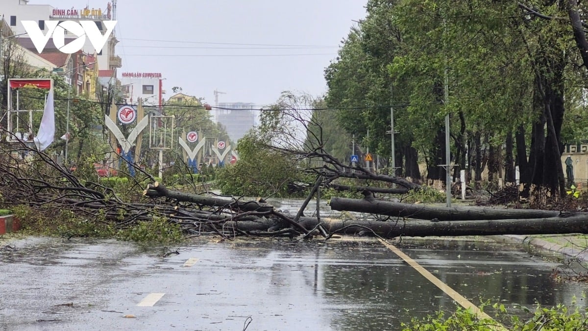 Doanh nghiệp du lịch chủ động ứng phó, vượt qua cơn bão số 10 - Ảnh 1.