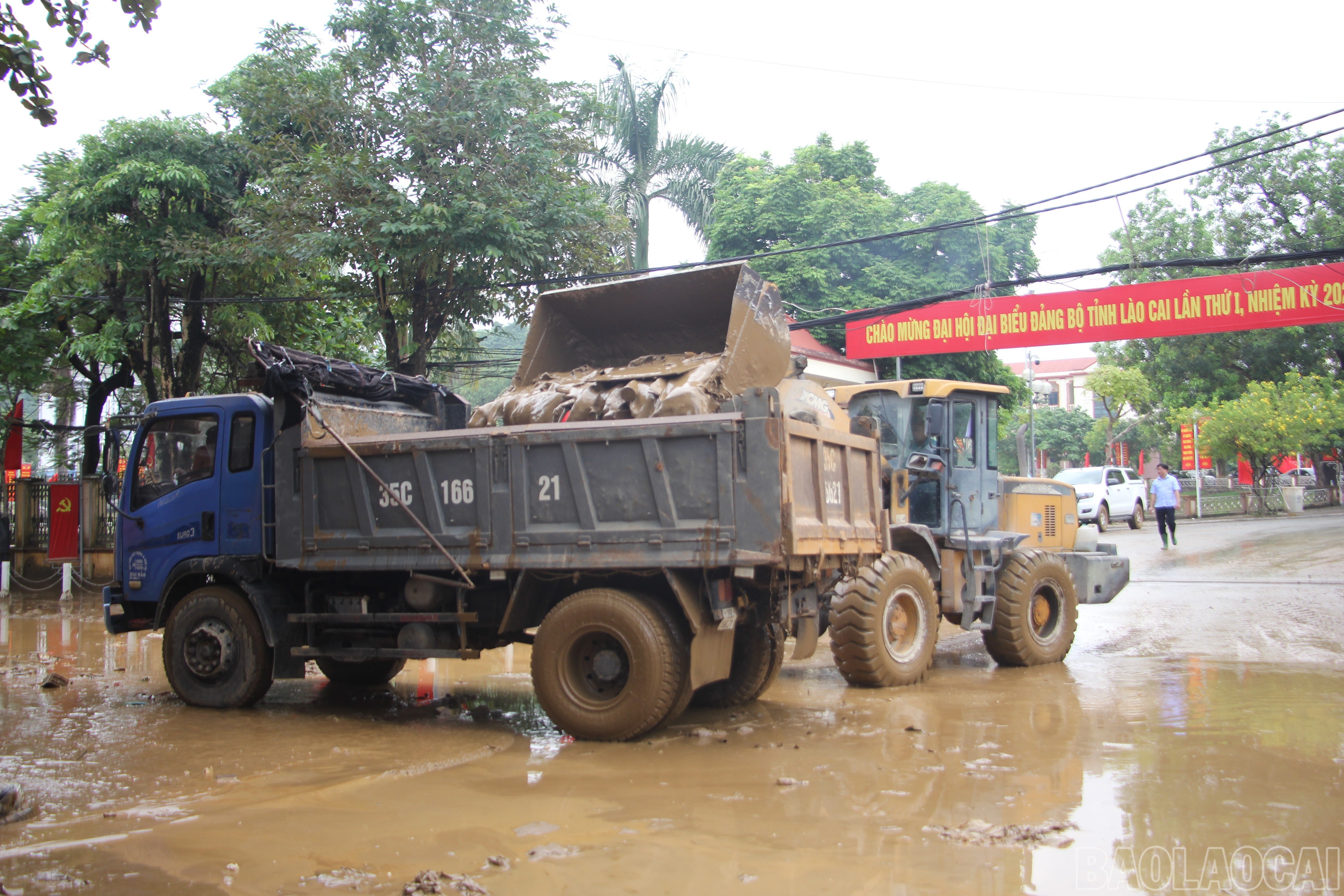 baolaocai-br_13.jpg