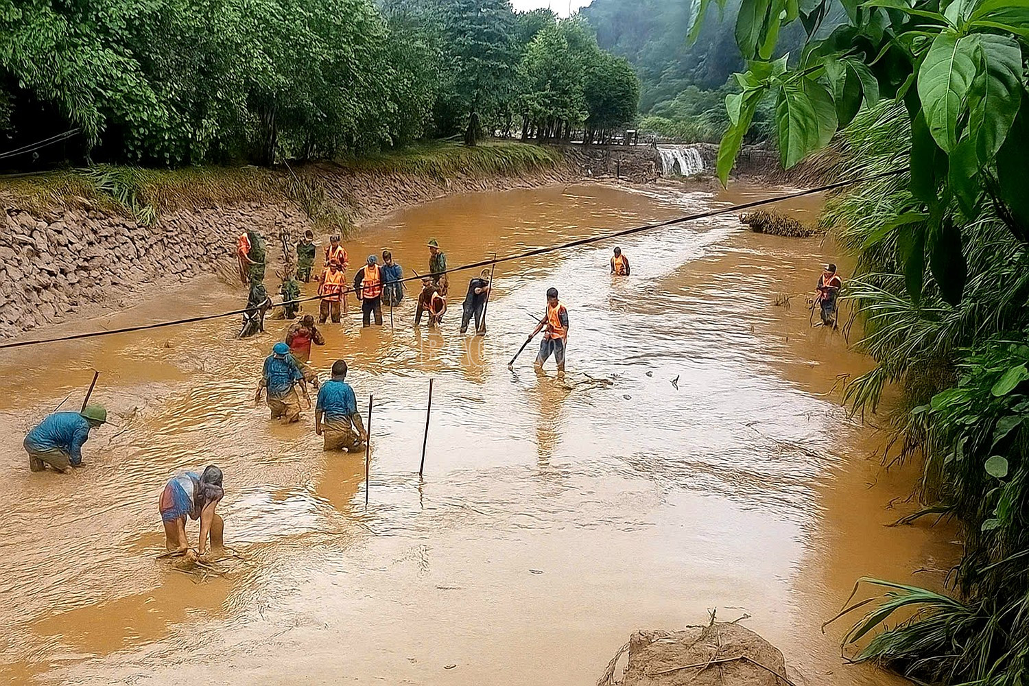 baolaocai-c_z7069190107353-0cfdc02b6b16f886e53758645d355294.jpg