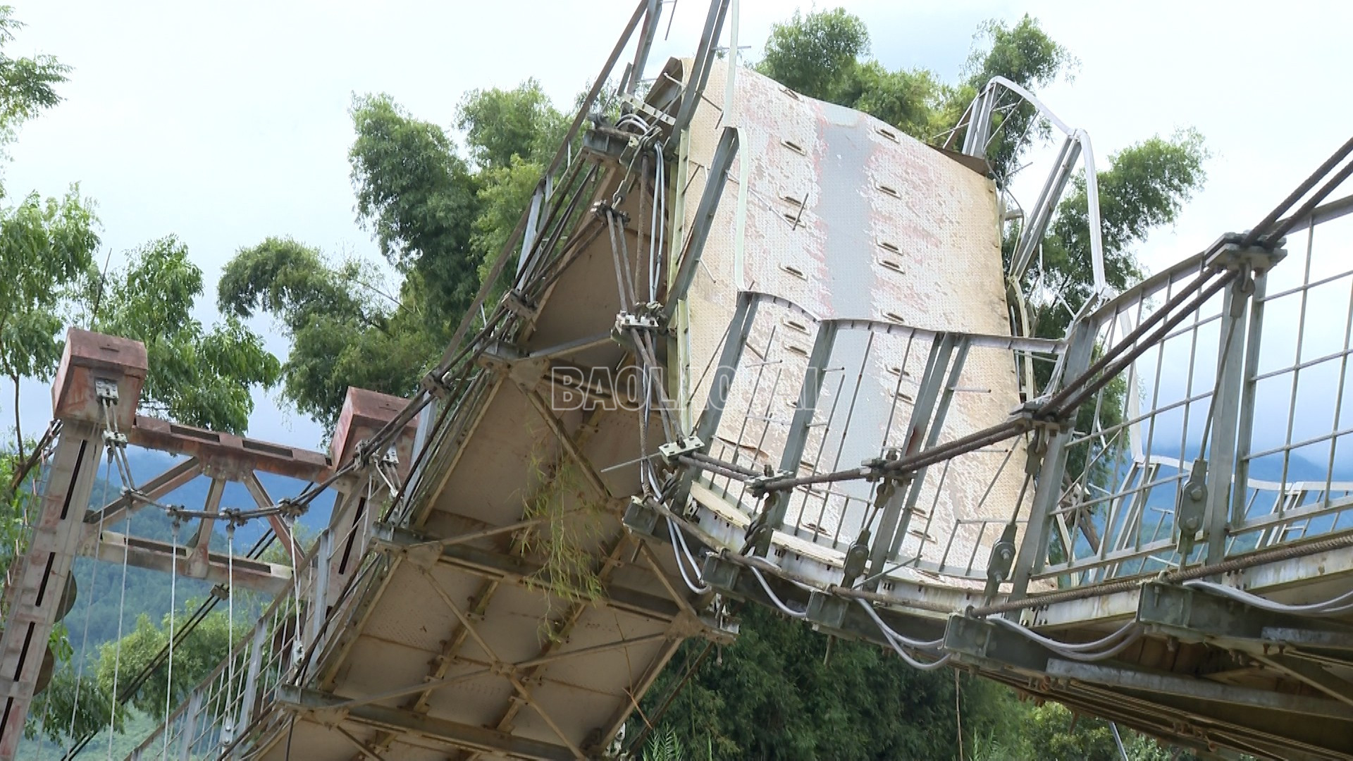 baolaocai-c_lim-thai-8.jpg