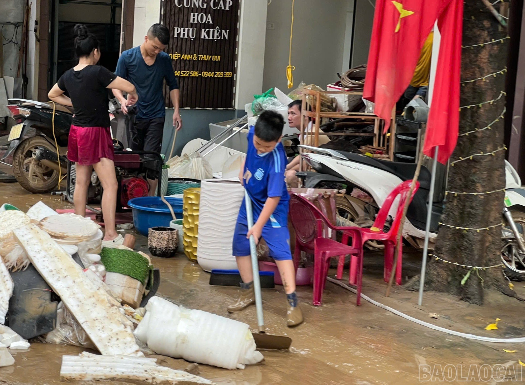 baolaocai-br_z7070075317015-c1749f746d17836dc643c818f7dc9477-7257.jpg