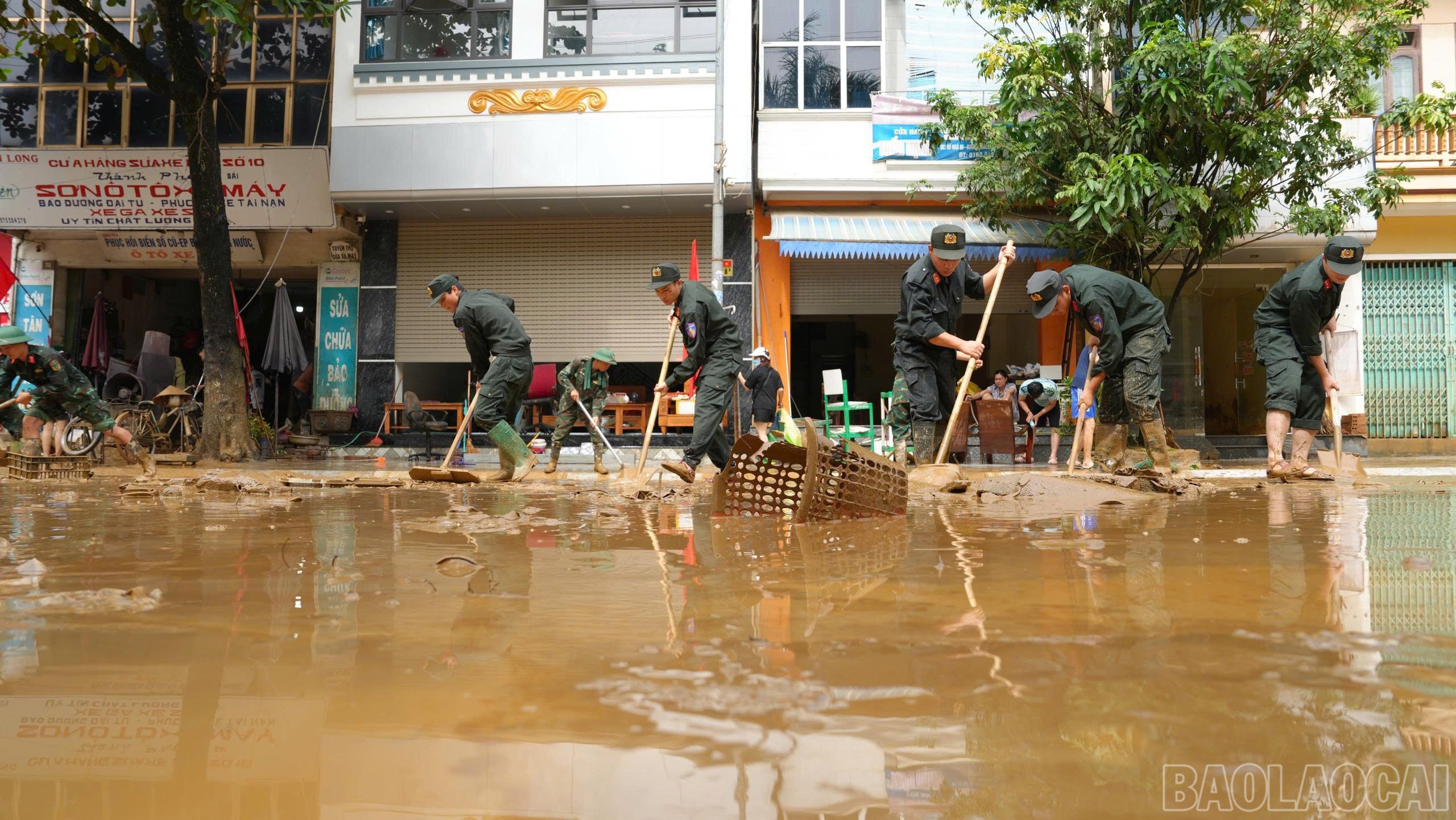 baolaocai-br_1-11.jpg