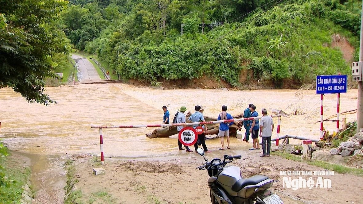 វ៉ាន់ ទ្រុង m45