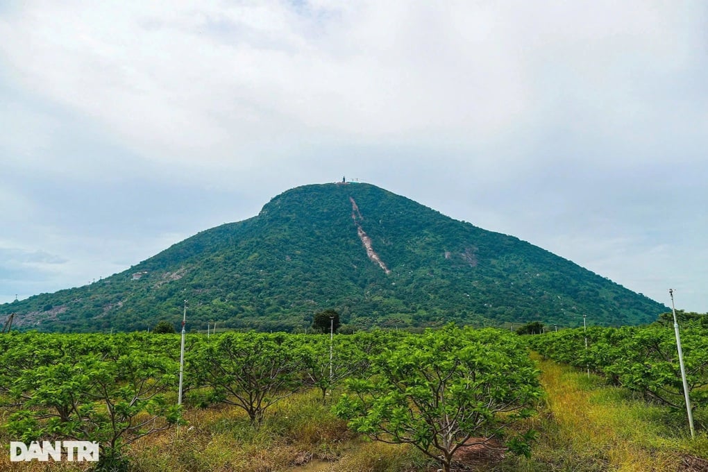 Tây Ninh cấm du khách dã ngoại, leo núi Bà Đen để đảm bảo an toàn - 1