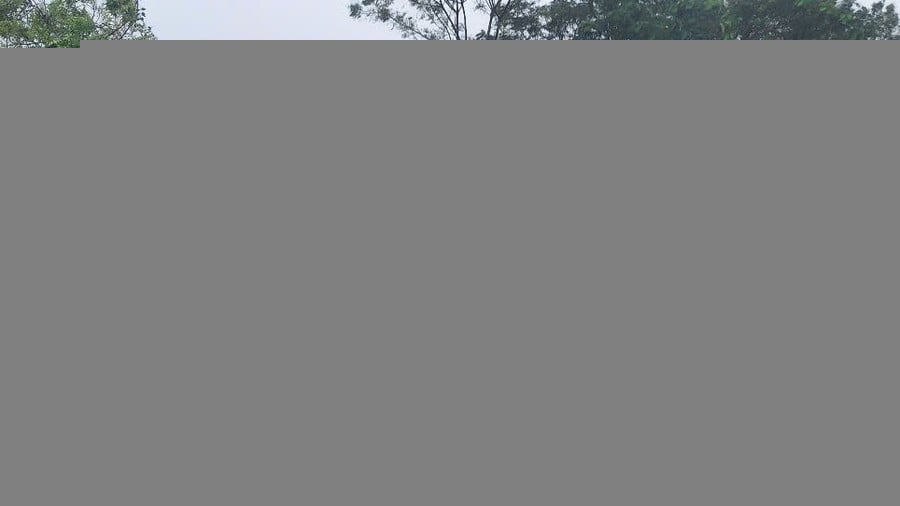 z7070150380839-8766aa3cc983bd36afc77b2801697e11.jpg