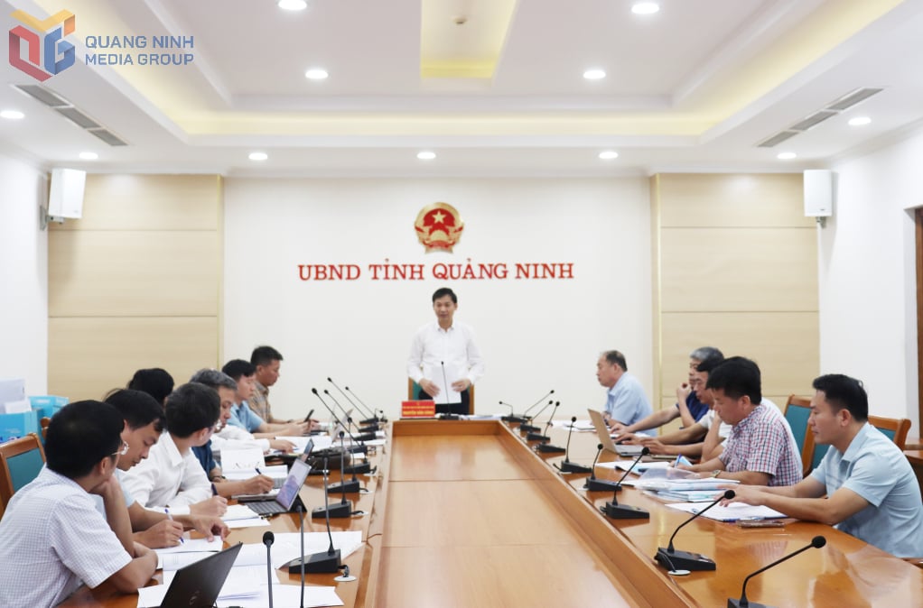 Comrade Nguyen Van Cong, Vice Chairman of the Provincial People's Committee, gave a speech at the meeting.