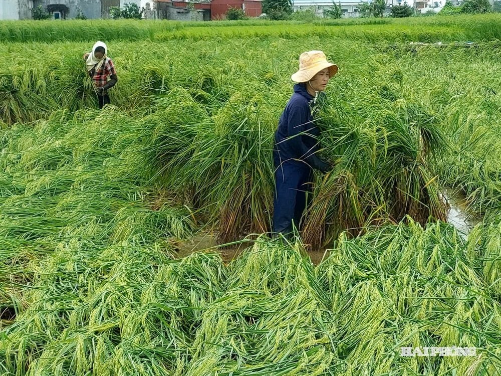 ក្តៅៗ ៥