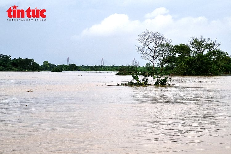 ចំណងជើងរូបថត