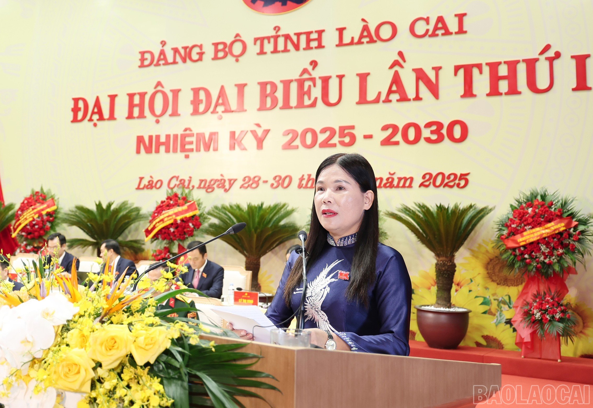 baolaocai-br_img-3278.jpg