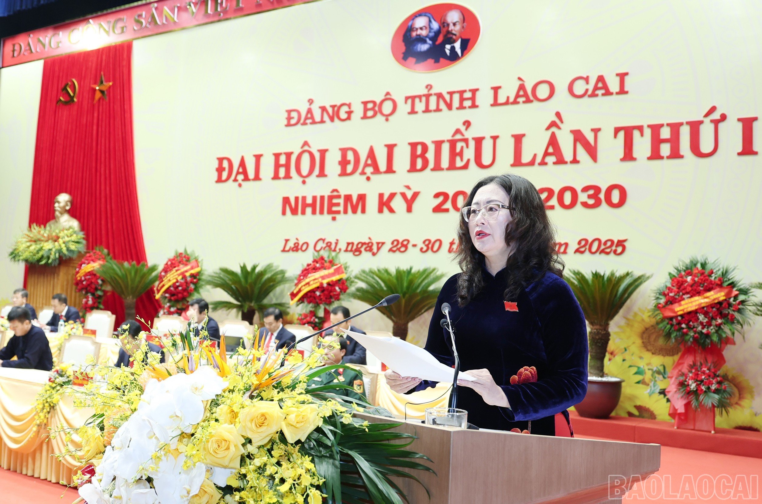 baolaocai-br_img-3326.jpg