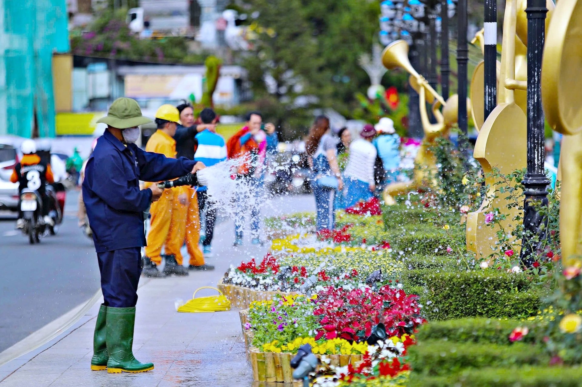 a hoa da lat 5