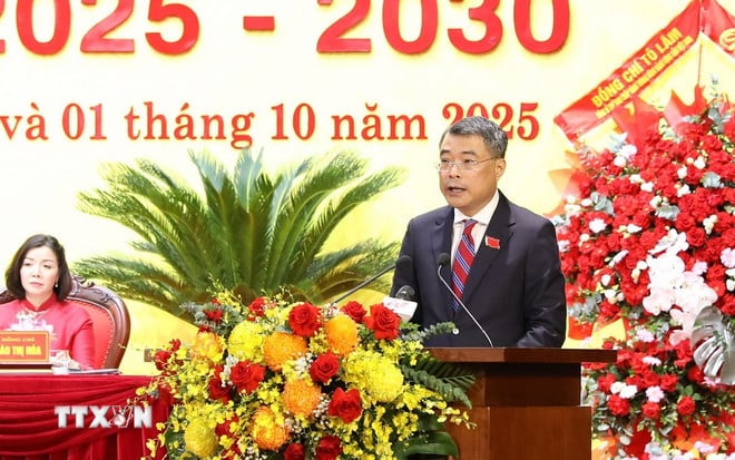 ttxvn-le-minh-hung-resize.jpg