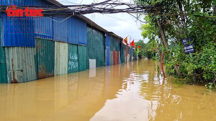 ចំណងជើងរូបថត