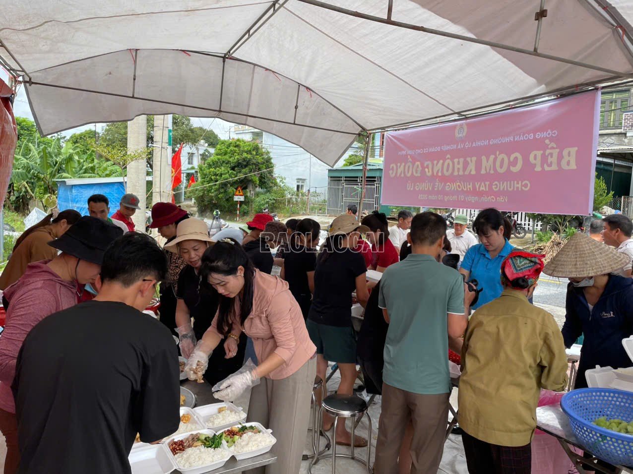 baolaocai-c_z7069524762287-a55a9d076fae8aab082c4dfb7f440f1a.jpg
