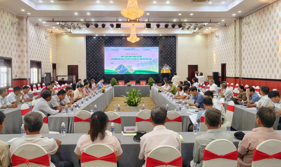 ngay-309-hinh-1.jpg