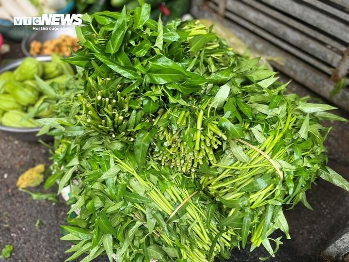 Water spinach is sold for 15,000-20,000 VND/bunch, double the price compared to before. (Photo: Hoang Dung).
