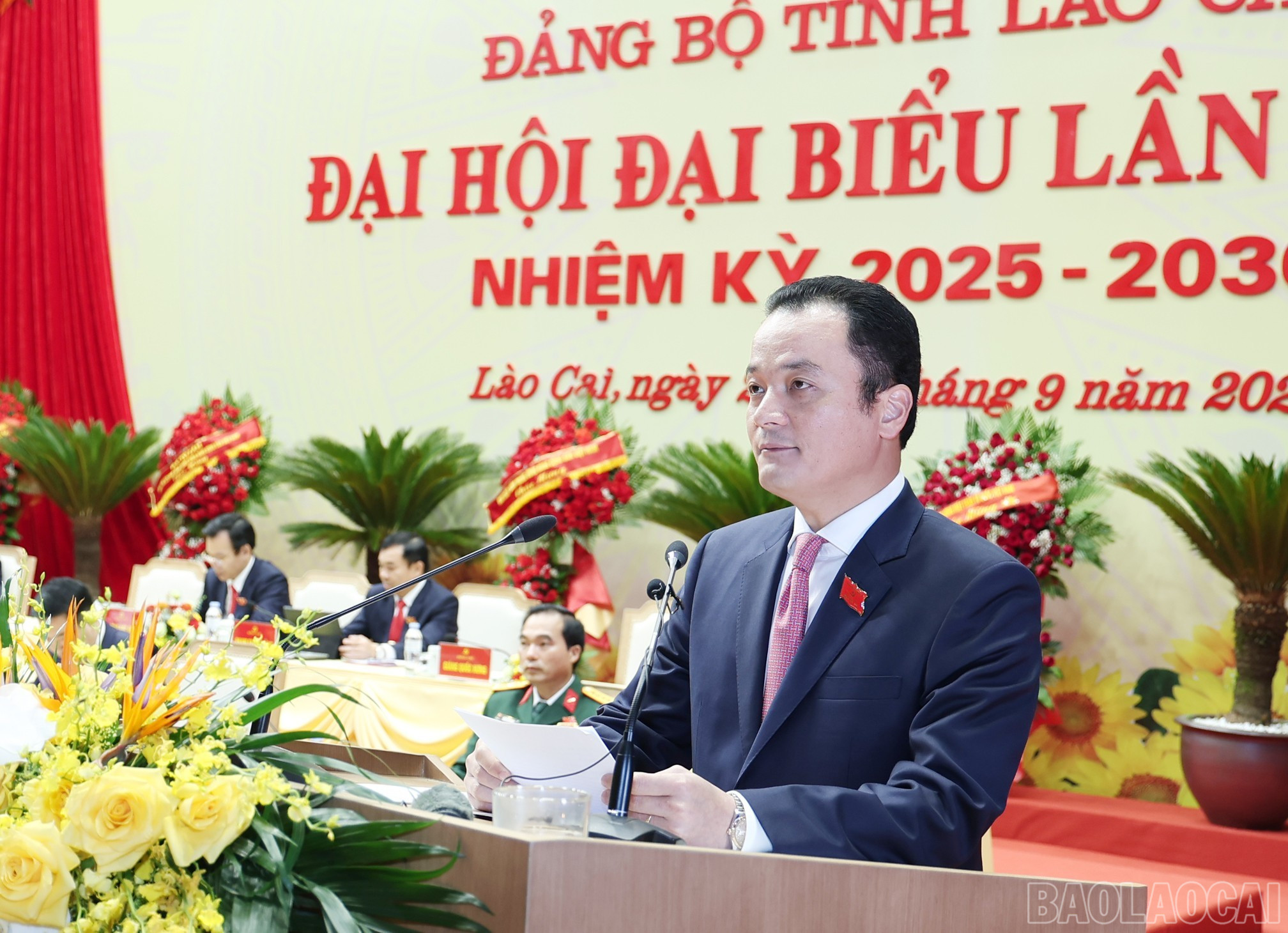 baolaocai-br_img-3288-2.jpg