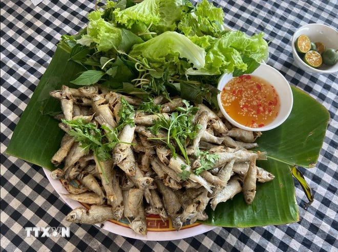 ttxvn-ca-linh-chien-gion.jpg