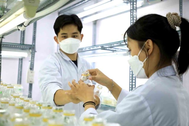 Chuyển đổi từ “ lượng ” sang “ chất ” trong nghiên cứu khoa học Việt Nam - Ảnh 1.