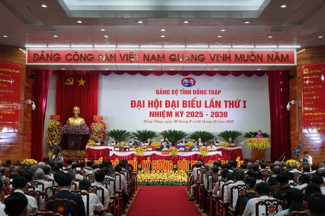  - Ảnh 1.