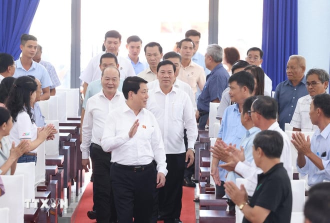 ttxvn-0110-chu-tich-nuoc-tiep-xuc-cu-tri-thanh-pho-ho-chi-minh.jpg