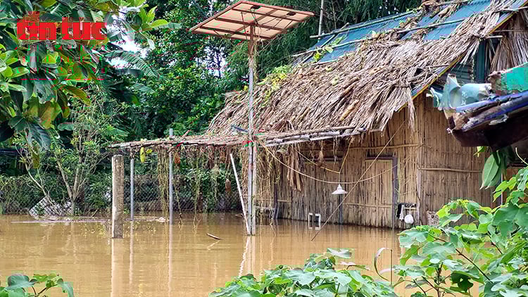 ចំណងជើងរូបថត