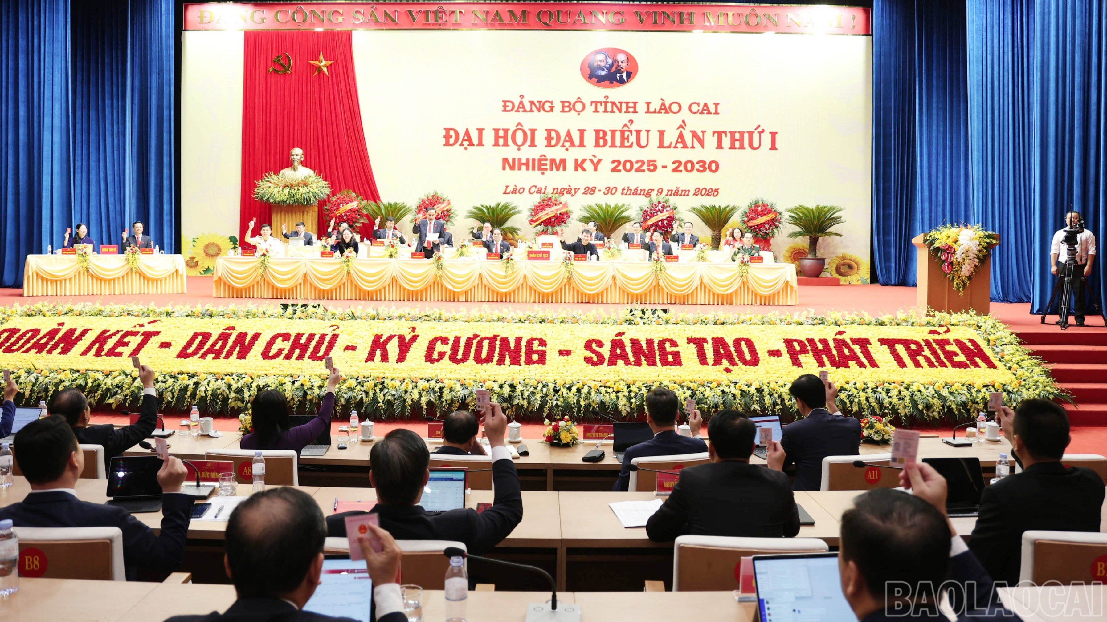 baolaocai-br_img-3350.jpg