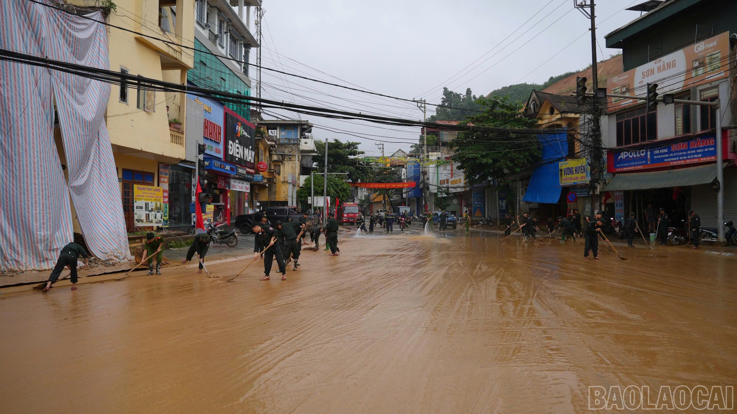 baolaocai-br_1-6.jpg