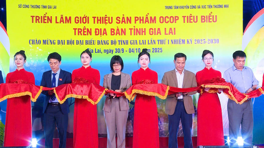 Der stellvertretende Vorsitzende des Volkskomitees der Provinz, Nguyen Thi Thanh Lich, eröffnete am Mittwoch zusammen mit Delegierten die Ausstellung „Lam Anh Huy Toan“.jpg