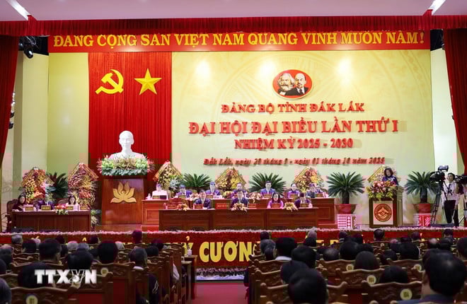 ttxvn-0110-dak-lak-3.jpg