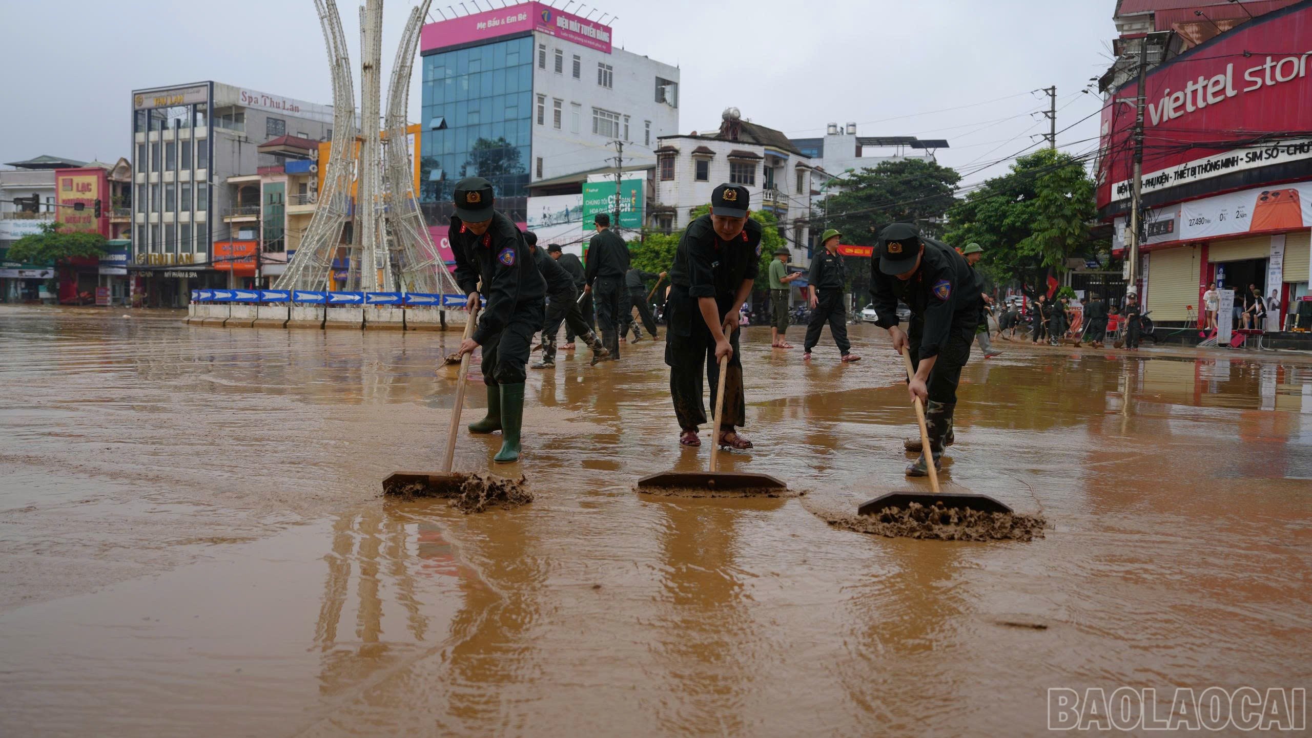 baolaocai-br_1-7.jpg