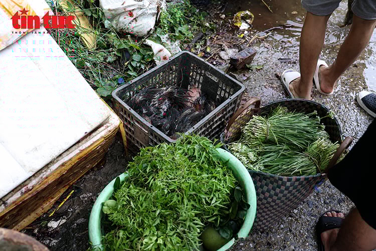 ចំណងជើងរូបថត