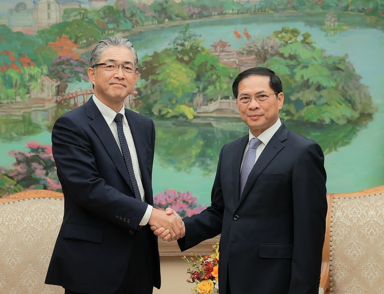 Phó Thủ tướng Bùi Thanh Sơn tiếp Tổng Giám đốc khối điện và hạ tầng toàn cầu Tập đoàn Marubeni- Ảnh 1.
