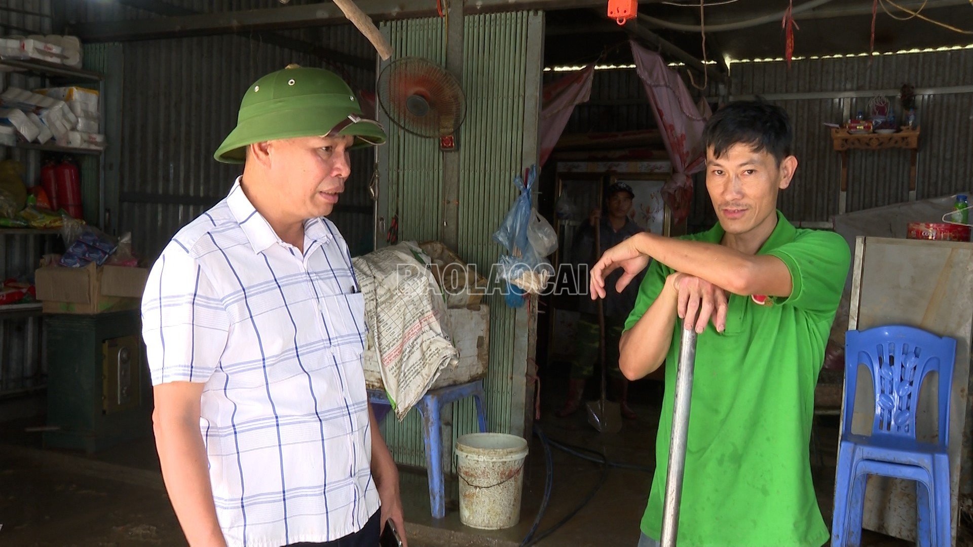 baolaocai-c_lim-thai-3.jpg