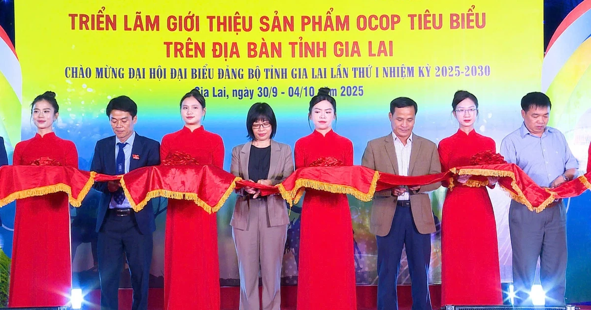 Triển lãm OCOP chào mừng Đại hội đại biểu Đảng bộ tỉnh Gia Lai lần thứ I