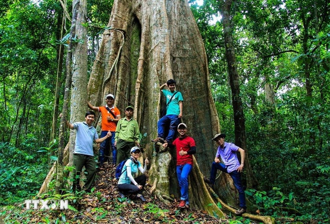 ttxvn-0910-dong-nai-área-de-preservación-natural-cultural-1.jpg