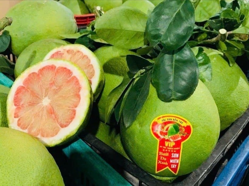 ជាលើកដំបូង ក្រូចថ្លុងវៀតណាមត្រូវបាននាំចេញទៅអូស្ត្រាលី។ (រូបថត៖ PV/Vietnam+)
