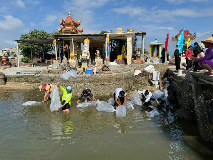tha-ca-giong-xuong-dam-thi-nai.jpg