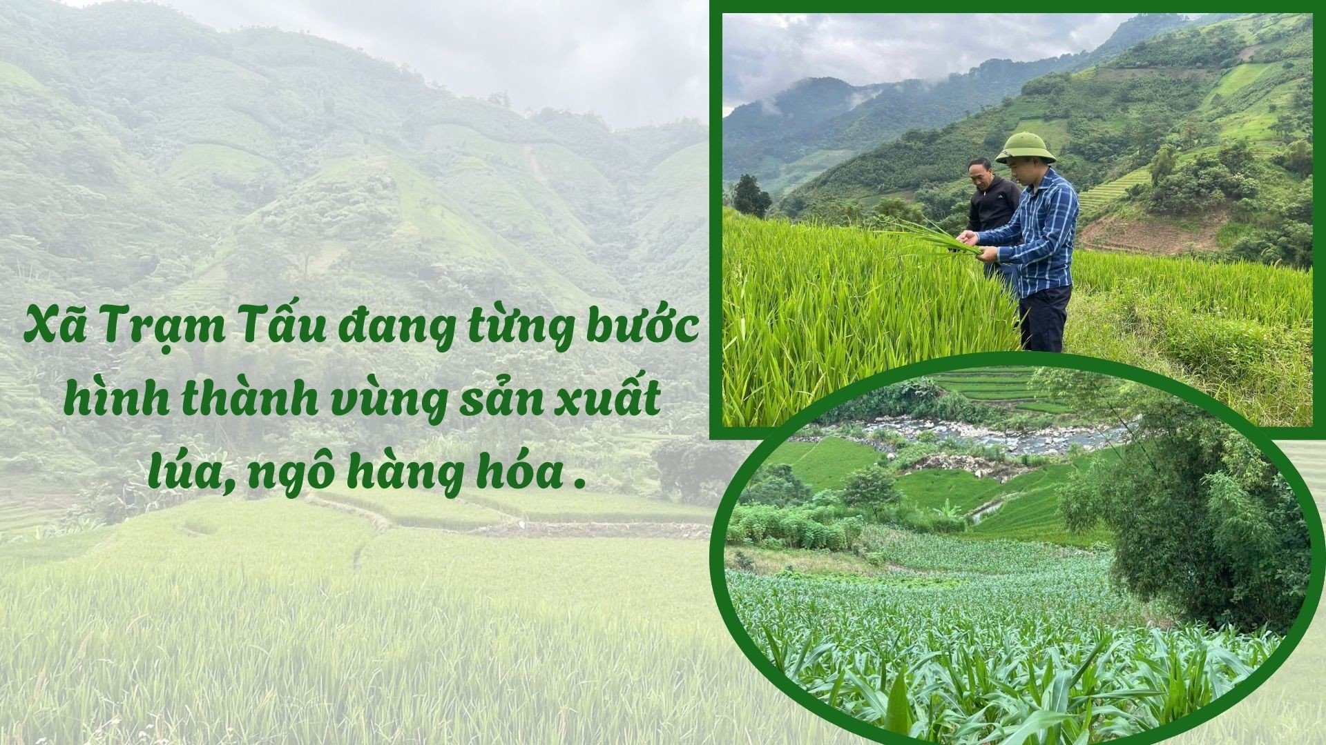 ស-បៃតង-ទំនើប-កសិកម្ម-ដី-គ្រប់គ្រង-facebook-post-1920-x-1080-px.jpg