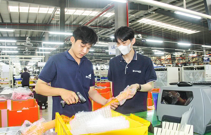 Cộng đồng doanh nghiệp của tỉnh đóng góp tích cực phát triển kinh tế- xã hội, tạo công ăn việc làm ổn định cho người lao động. Ảnh: Trần Phước