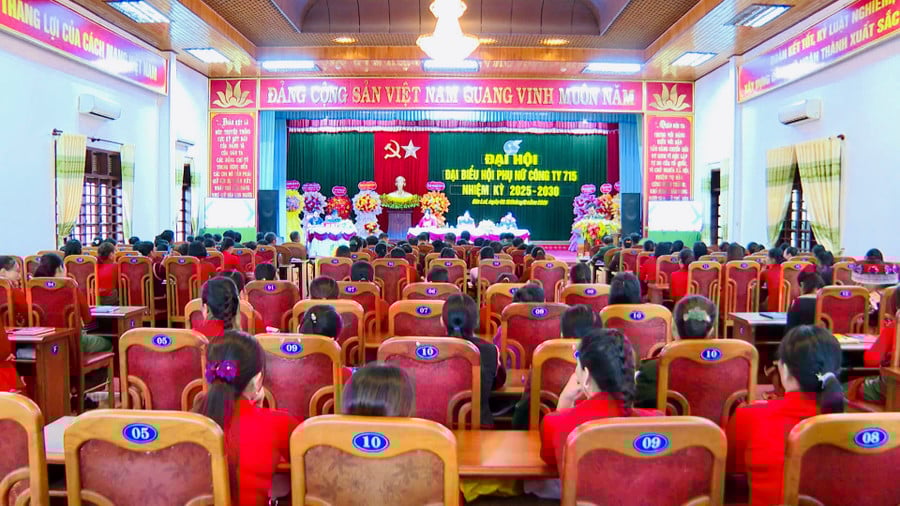 toan-canh-dai-hoi-dai-bieu-hoi-phu-nu-cong-ty-715-nhiem-ky-2025-2030.jpg