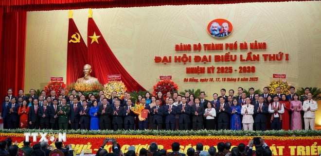 ttxvn-dang-bo-da-nang-1.jpg