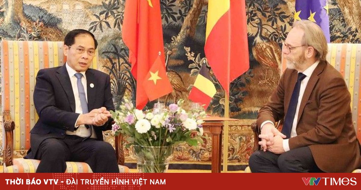 Việt Nam đề nghị Bỉ phê chuẩn EVIPA trong năm 2025