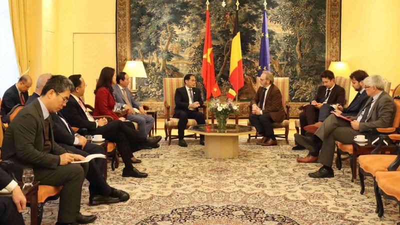 Timbalan Perdana Menteri Bui Thanh Son mengadakan sesi kerja dengan Presiden Dewan Perwakilan Persekutuan Belgium Peter De Roover. (Foto: Kementerian Luar Negeri Vietnam)